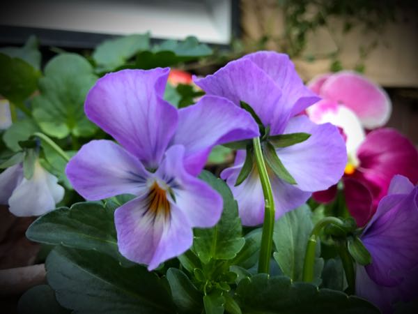 rblog-20161128164756-07.jpg