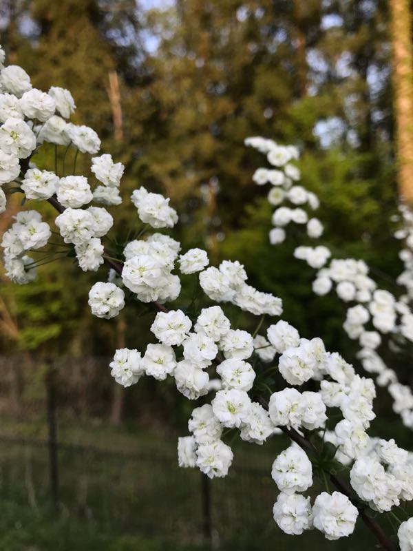 rblog-20180408180729-09.jpg