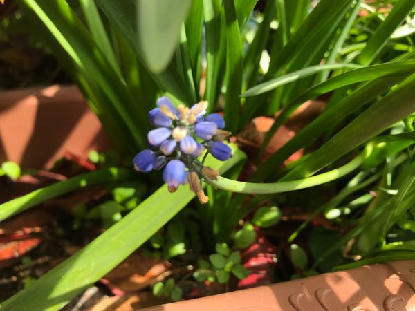 rblog-20180408162428-02.jpg