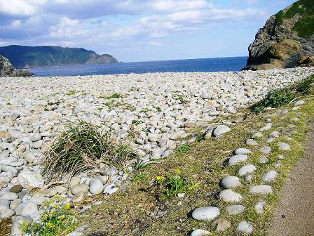 ホノホシ海岸の丸石