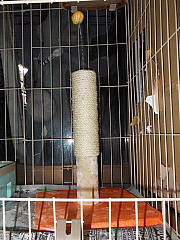 conv0382.JPG