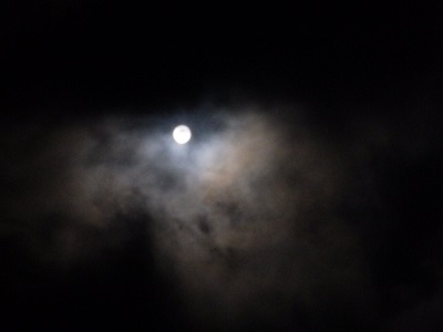 P1160002.JPG