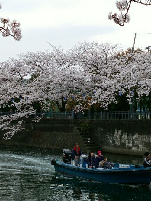 rblog-20160407173157-02.jpg