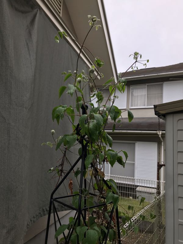 rblog-20190426181355-06.jpg