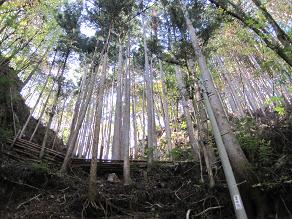 13倉沢線.JPG