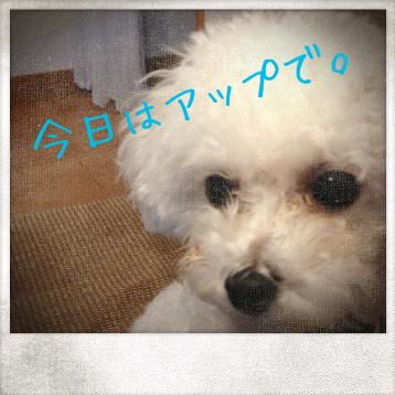 IMG_4954.png