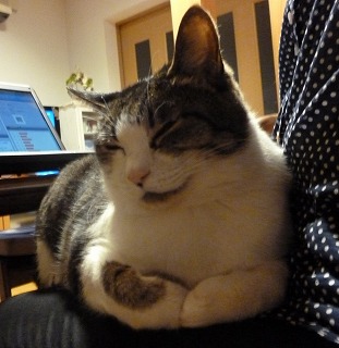 P1030246-ass.jpg