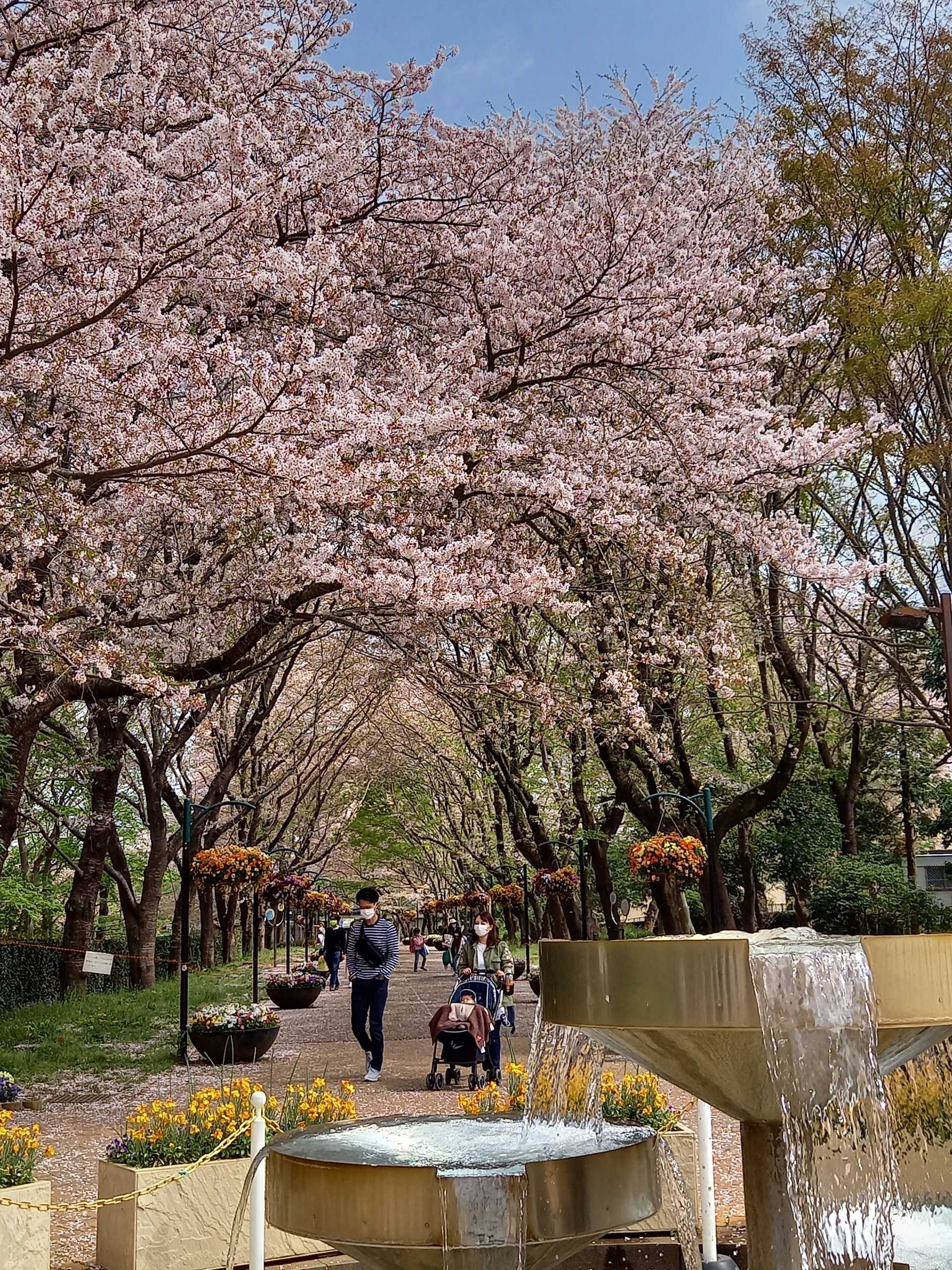 孫二人とアンデルセン公園を満喫する 山への情熱 音楽への愛 楽天ブログ