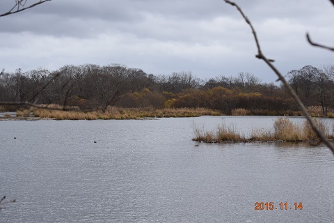 DSC_0162.JPG