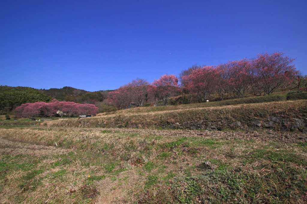 明日香村_004.jpg