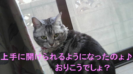 2012_0518うさちゃん1336.JPG