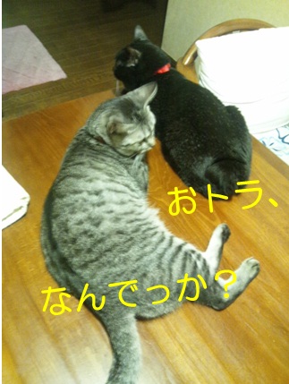 20120907_2.jpg