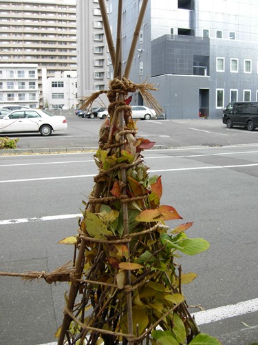 DSCN2876.JPG