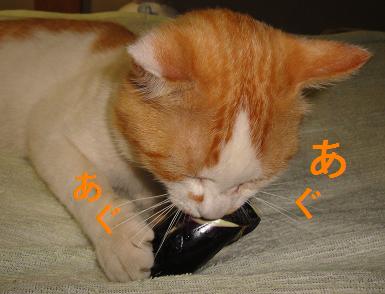 DSC01023.JPG