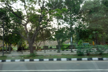 インド1028.jpg