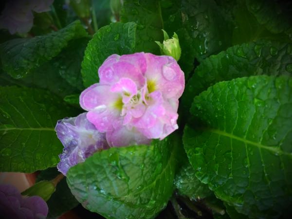 rblog-20160426005610-02.jpg