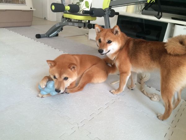 rblog-20160711094222-01.jpg