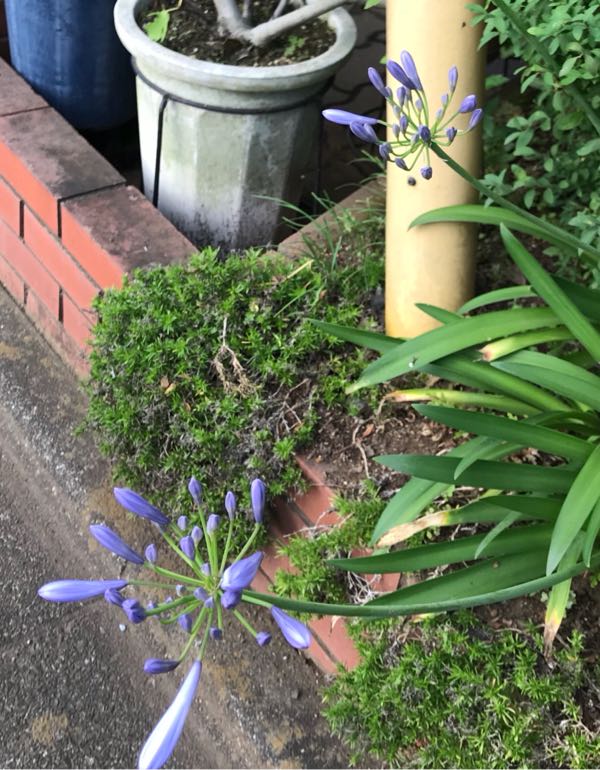rblog-20180624181444-01.jpg