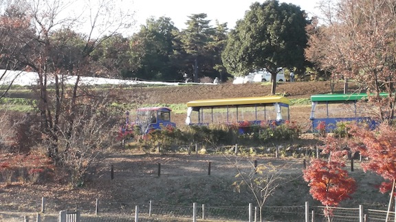 昭和記念公園057