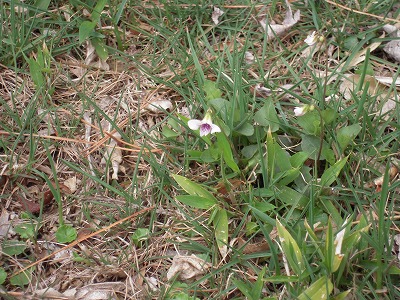 DSCN0008.jpg