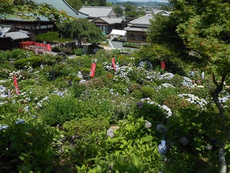 花の寺　本勝寺