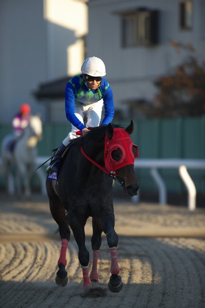 レース後