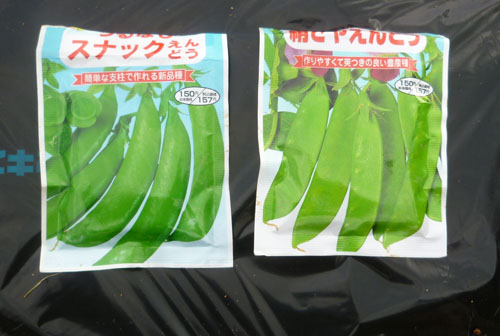 スナップエンドウサヤエンドウ.jpg