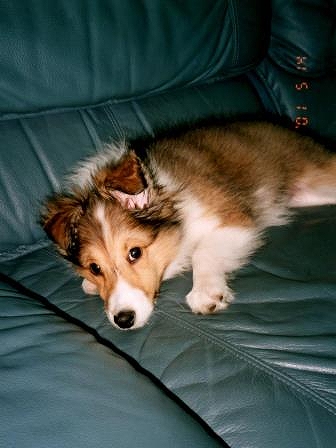 img121.jpg
