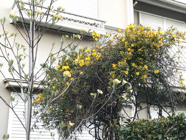 rblog-20180408182714-06.jpg