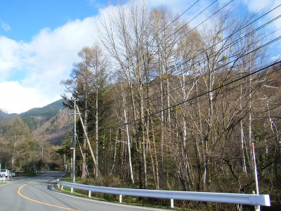 乗鞍高原2012.5.4-3