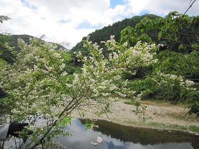 IMG_2154.jpg