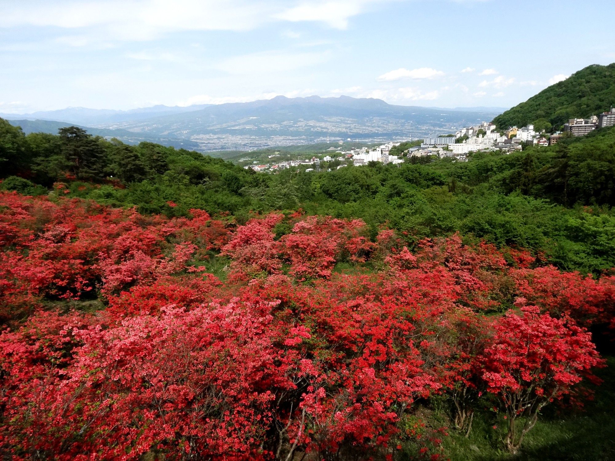 ツツジ満開の伊香保森林公園！ 2020年5月17日（日） | 山と花と小型車でサイクリング！ - 楽天ブログ