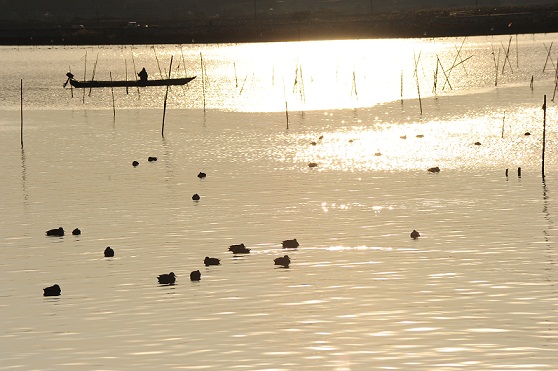 涸沼暮色３ 033.JPG