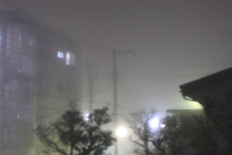 真冬に幻想的な霧の夜が | ひこじいさんのブログ - 楽天ブログ