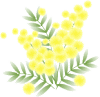 mimoza-bn6-3.gif