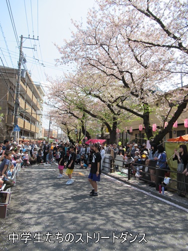 馬込文士村大桜まつり