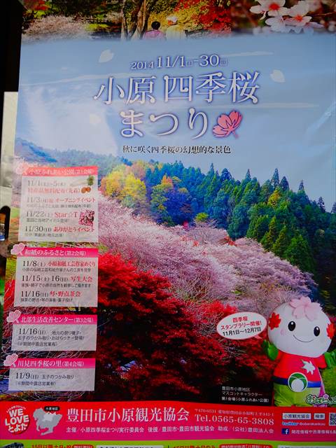 DSC08489_R.JPG