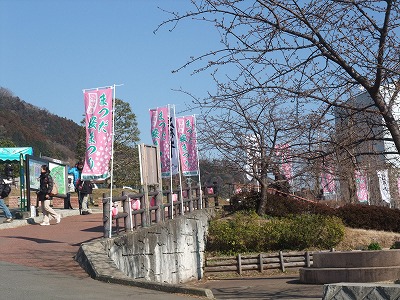 20130210松田山ハーブガーデン