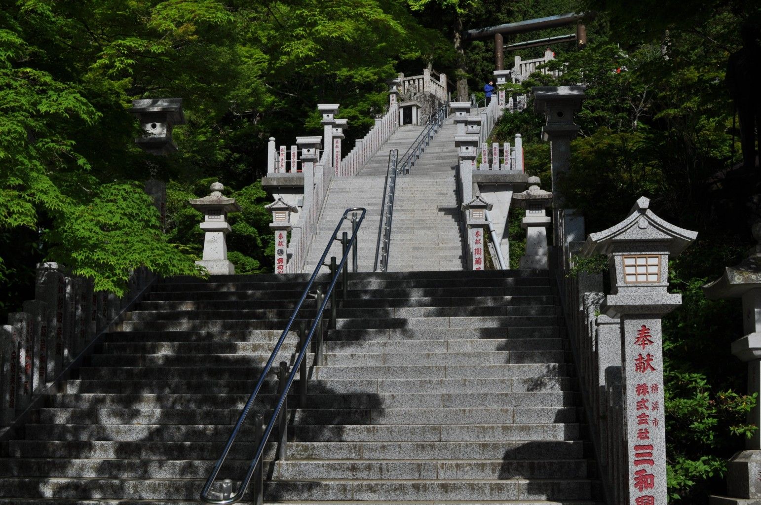 2018年5月20日 大山（神奈川）登山 ※行方不明男性発見されました | GATO NEGRO 安心してください 毛玉 吐いてますよ