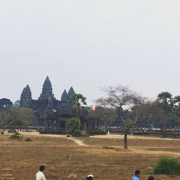 rblog-20190219231409-01.jpg