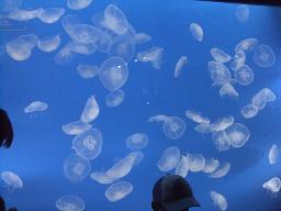 東京スカイツリー 048.jpg