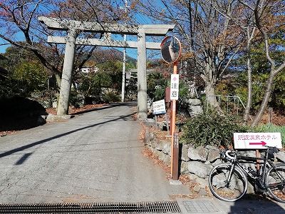 １１月２１日つくば道  自転車で生き返った - 楽天ブログ