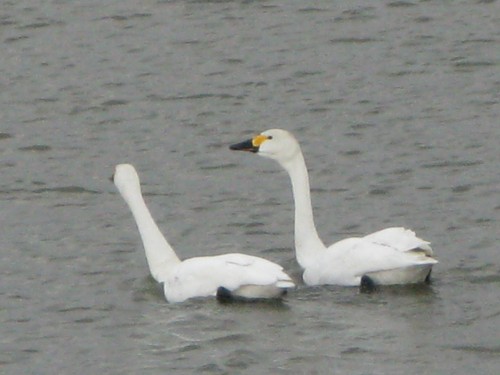 IMG_3241.JPG