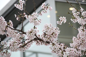 IMG_8145-2.jpg