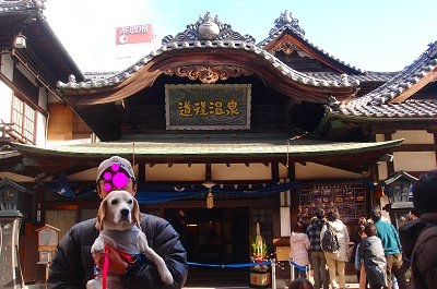 20121231道後温泉