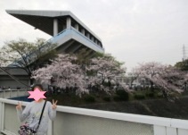 IMG_1101 - コピー.JPG