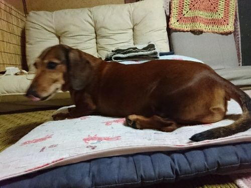 rblog-20170629215058-01.jpg