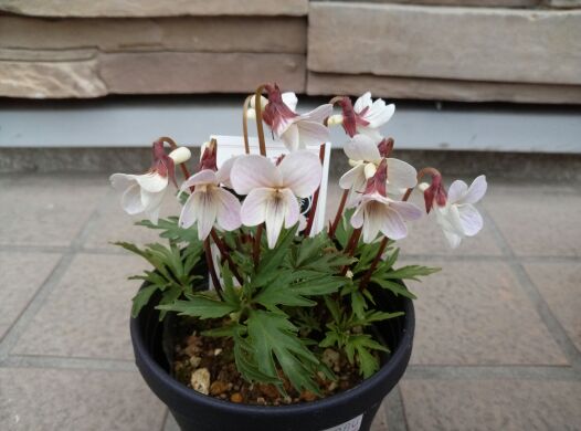 rblog-20140303181451-01.jpg
