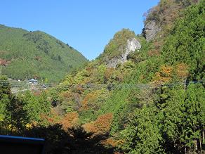 4ちょっと紅葉.JPG