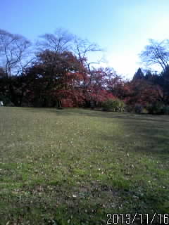 佐久山城本丸３